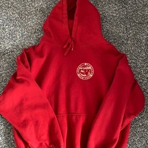 Brandy Melville Oversized hoodie